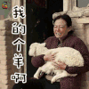 爆裂无声 谭卓 翠霞 搞怪 我的个羊啊 soogif soogif出品