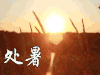 处暑 节气 风景