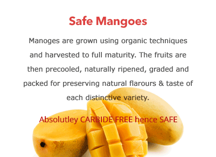 水果 芒果 信息 数据