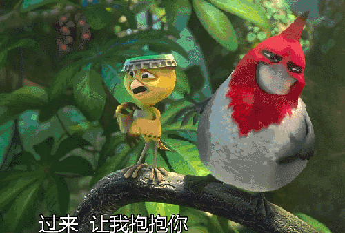 动物 拥抱 电影 红鸟 表情包 里约大冒险2 金丝雀