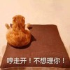 萌宠 猫星人 走开 不想理你 呆萌 可爱