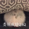 猫咪 委屈成球QAQ 毛茸茸 猫爪 搞笑