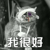 猫 萌宠 喵星人 我很好 受伤 soogif soogif出品