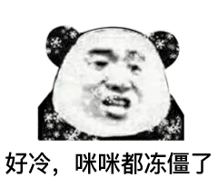 熊猫头 搞笑 雷人 斗图 好冷,咪咪都冻僵了
