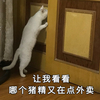 萌宠 猫星人 让我看看那个猪精又在点外卖 搞怪 呆萌 可爱