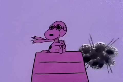 史努比 Snoopy 伟大的南瓜 南瓜查理·布朗  万圣节 花生