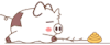 大全 QQ