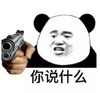 熊猫头 文字表情包 你说什么 搞笑 逗 沙雕