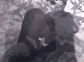 三生三世十里桃花 刘亦菲 杨洋 喜欢 soogif soogif出品 抱抱 抱紧我