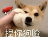 萌宠 汪星人 捏你狗脸 生气 呆萌 可爱
