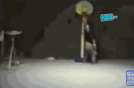 轻松时刻 笑死人 搞笑 逗比