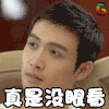 张彬彬 soogif soogif出品 真是没眼看