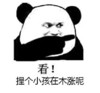 搞笑 斗图 滑稽 猥琐 木涨