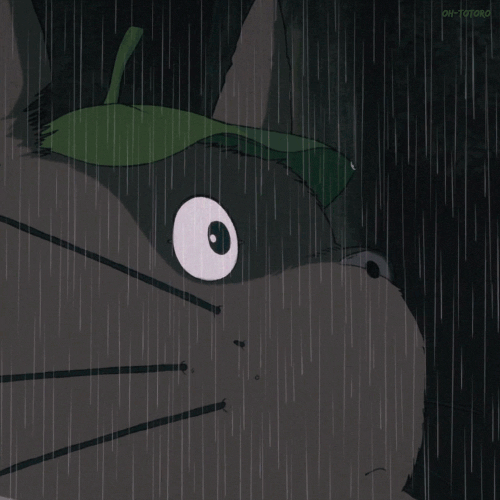 宫崎骏 龙猫 下雨 树叶