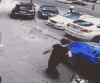狗狗 疯咬 打架 护住