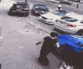 狗狗 疯咬 打架 护住
