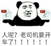 人呢 张学友熊猫头 老司机要开车了 有人吗