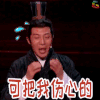 国家宝藏 撒贝宁 伤心 soogif soogif出品