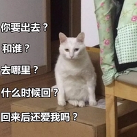 猫咪 你要出去 和谁 去哪里 什么时候回 回来后还爱我吗