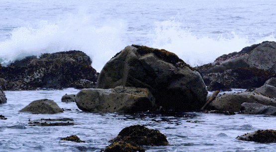 大海 浪花 岩石 背影 男性