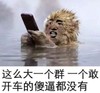 金馆长 逗比 手机 一个敢开车的傻逼都没有