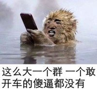 金馆长 逗比 手机 一个敢开车的傻逼都没有