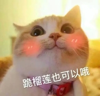 跪榴莲也可以哦 猫咪 脸红 可爱