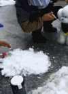 下雪 泰迪 可爱 操作