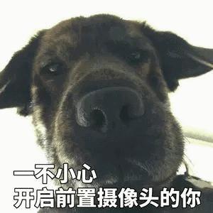 摄像头转动摄像搞笑gif动图_动态图_表情包下载_soogif