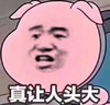 金馆长 猪头 搞笑 真让人头大