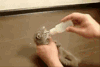 猫咪 喵星人 可爱 搞笑 萌萌哒