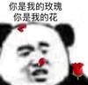 暴漫 文字表情包 你是我的玫瑰你是我的花 搞怪 逗 沙雕