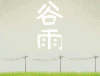 谷雨