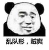 熊猫头 乱队形 贼爽 斗图 搞笑 猥琐