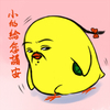 黄胖胖 可爱 卖萌 鸡
