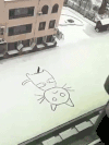 小猫 可爱 雪地 萌萌哒
