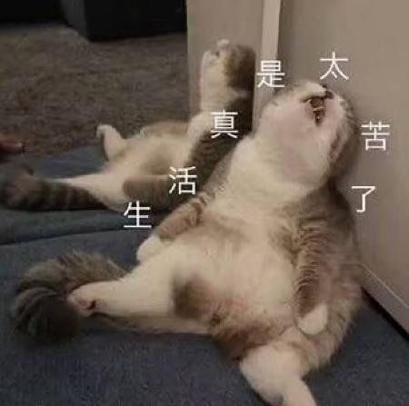 大杂烩 文字表情包 魔性 搞笑 逗