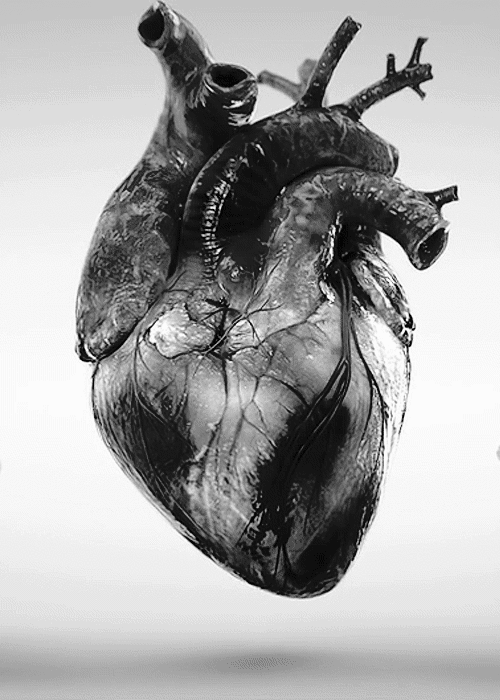 心脏 创意 医学