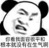 熊猫头 暴漫 你看我面容很平和根本就没有在生气啊 搞笑 魔性 逗