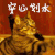 萌   安心划水 猫