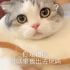 萌宠 猫星人 你是谁啊 可以带我出去玩吗 搞怪 逗
