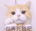 沙雕图 沙雕 沙雕表情包