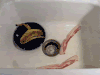 培根 鬼畜 定格 恶心 bacon food