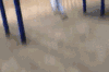 小区健身 搞笑 健身