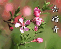 去踏青