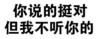 文字 黑体 恶搞 你说的挺对但我不听你的