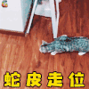 萌宠 猫咪 猫 吃鸡 蛇皮 走位 soogif soogif出品