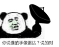 你说谁的手像 手像 沙雕 熊猫头