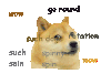 狗狗 翻转 wow dog