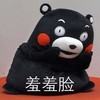 熊猫 脸红 直视 羞羞脸